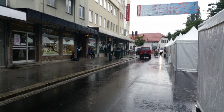 Regn. Foto: Ole Foss